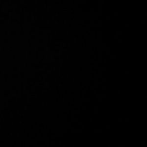 Meet your Posher, Bobby